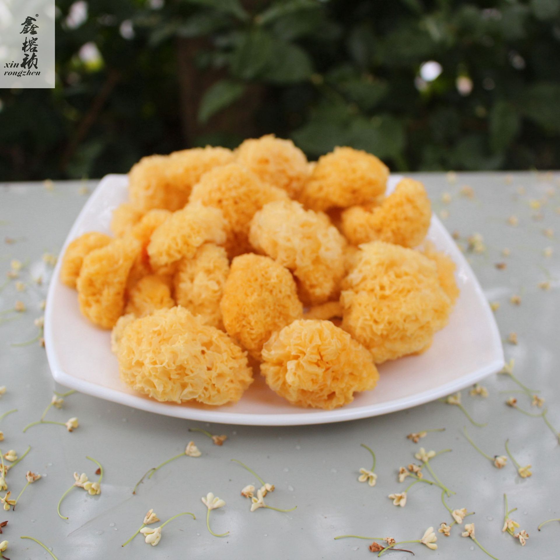 鑫榕钰 金黄色椴木雪耳糯耳嫩仔微小朵银耳菇农山泉水灌盖