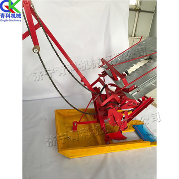 小型农田手摇式插秧机 双行水稻秧苗插秧机 农作物秧苗种植机