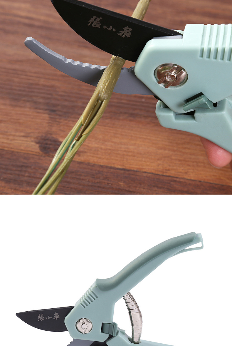 张小泉整枝剪剪刀防锈家用剪园林园艺剪花艺剪树枝剪果枝剪zh-330