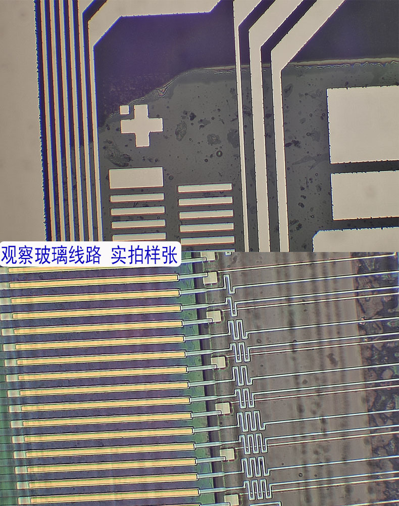 的数码成像观察,检验和测量重量5000(g)仪器放大倍数800物镜放大倍