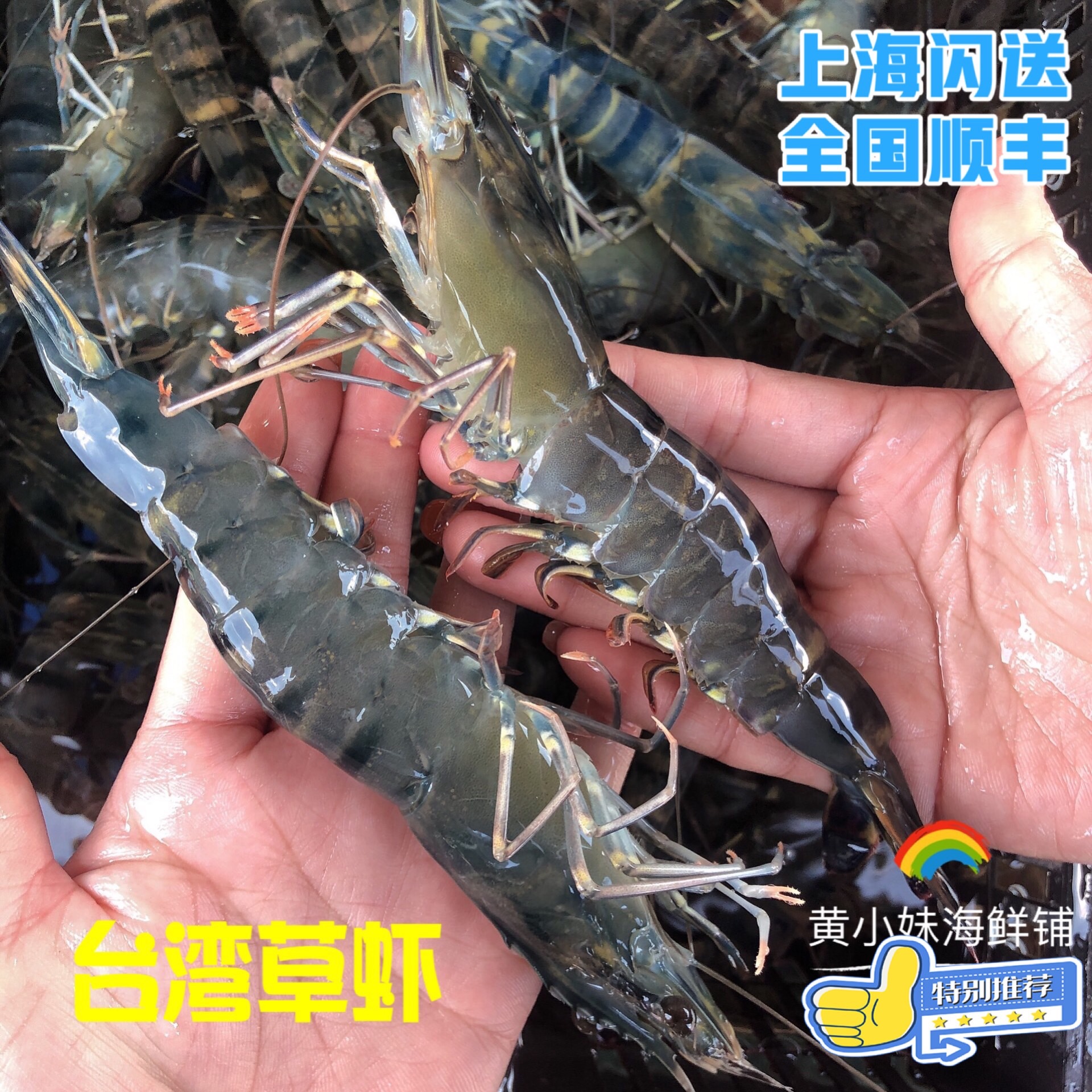 鲜活发货 野生海捕台湾草虾新鲜斑节对虾生猛黑虎虾500g