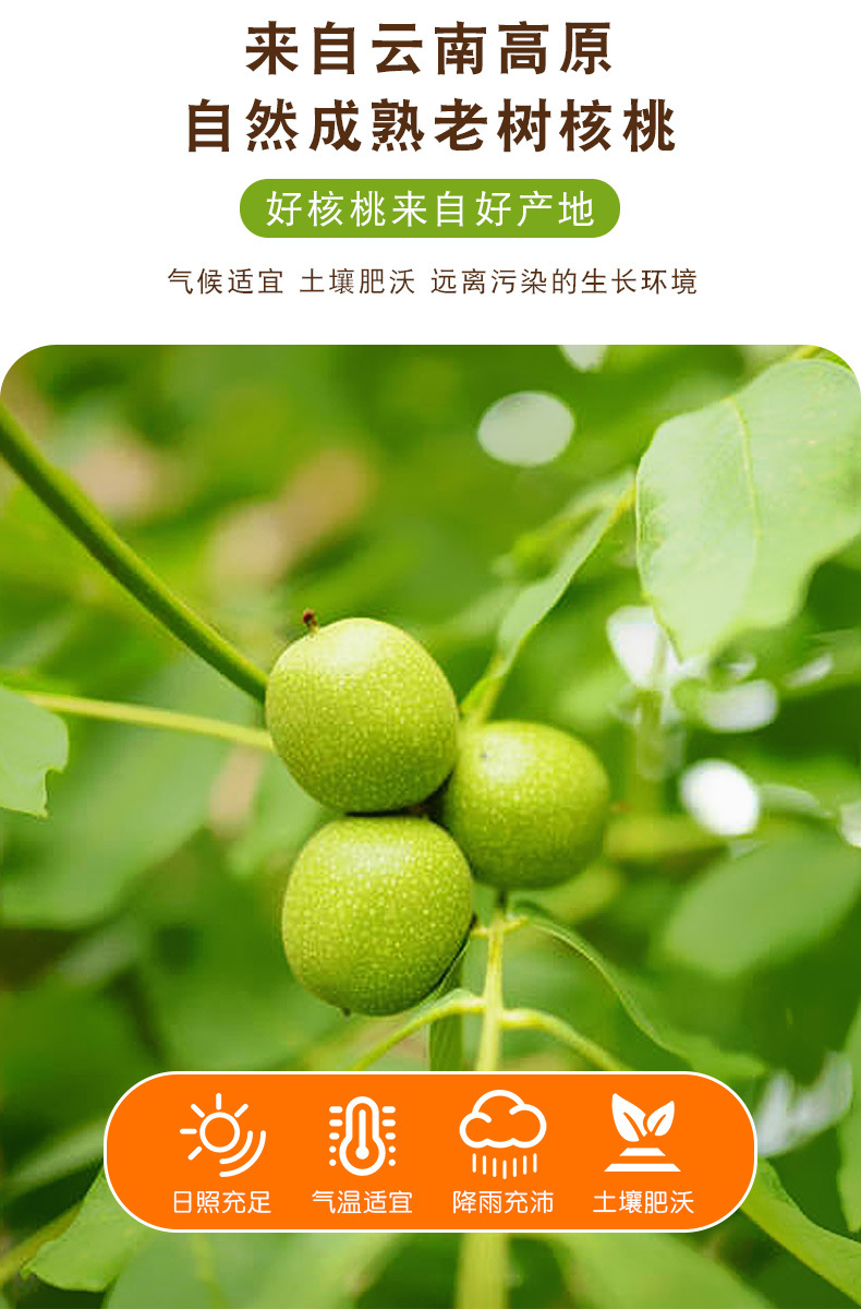 2023新货云南大理漾濞老树脱皮核桃仁2毫米核桃碎月饼烘焙用食材