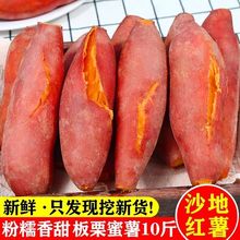 红薯【超低价】板栗新鲜黄心蜜现挖地瓜番新鲜蔬菜10斤2斤