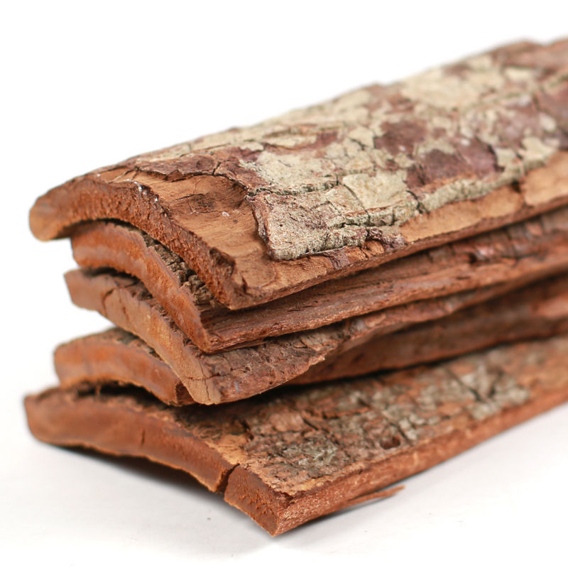 非洲安哥拉卡宾达树皮50克kuba滋补泡酒料卡宾达树皮粉