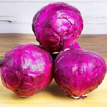 山东紫甘蓝新鲜紫包菜蔬菜1斤凉拌沙拉卷心菜紫菜包邮新鲜蔬菜1斤