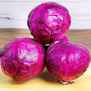 山东紫甘蓝新鲜紫包菜蔬菜1斤凉拌沙拉卷心菜紫菜包邮新鲜蔬菜1斤