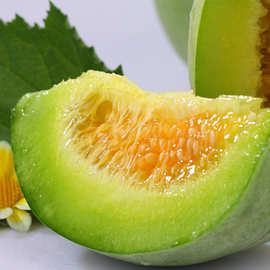 【绿哈密瓜】-绿哈密瓜厂家,品牌,图片,热帖-阿里巴巴