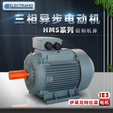 供应ELECTRAMO电机YX3/HMS/MS/EMS/YE3电动机铸铁铝壳船用 现货