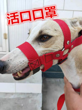 细狗防咬狗嘴套格力犬活口口笼防叫乱吃中毒灵缇嘴套惠比特犬口罩