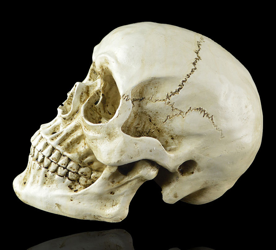 万圣节树脂工艺骷颅头摆件 大号仿真男人1比1头骨医用教学骷髅头