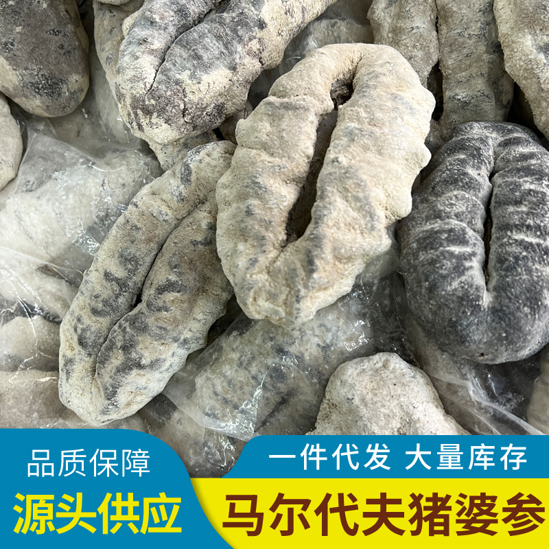 猪婆参 马尔代夫猪婆参 非洲猪婆参酒店食材 海参干货批发-阿里巴巴