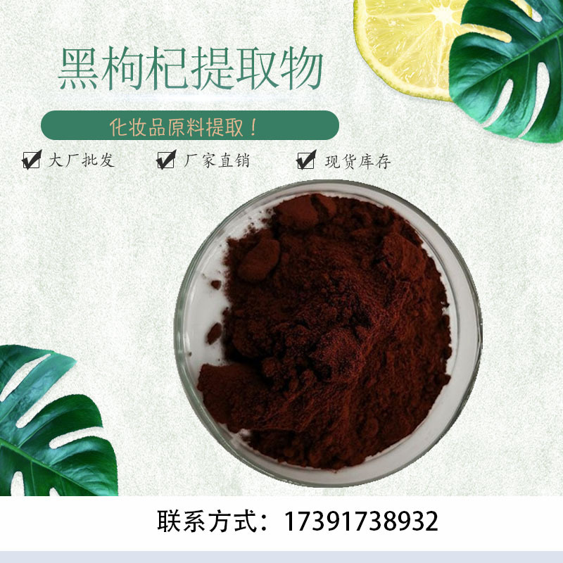 现货黑枸杞提取物101黑枸杞粉花青素花色甙水溶黑枸杞果粉