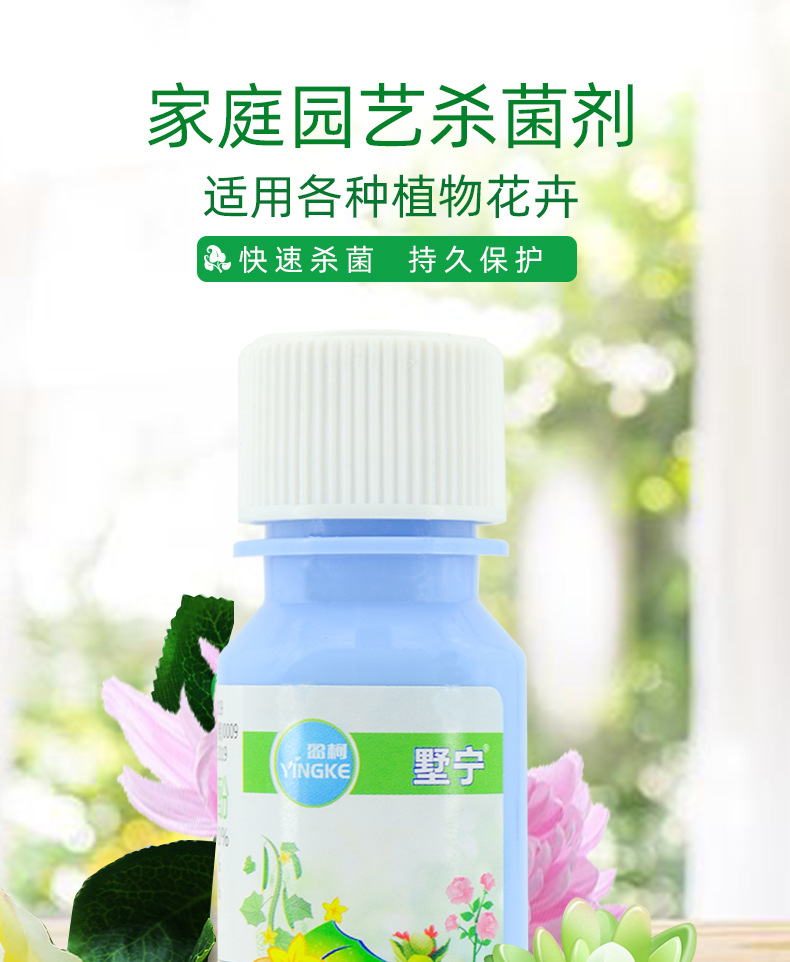 月季白粉病杀菌剂肟菌酯 乙嘧酚多肉绣球叶斑病通用型花卉杀菌药