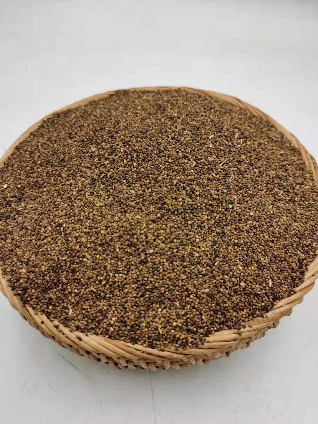 宁夏菟丝子 药材批发 盐菟丝子 炒菟丝子【1市斤】【心稳中药】