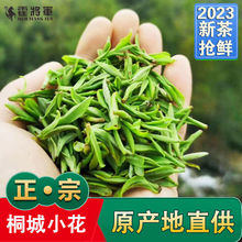 正宗桐城小花新茶2023安徽龙眠山春茶高山手工绿茶叶250克500克
