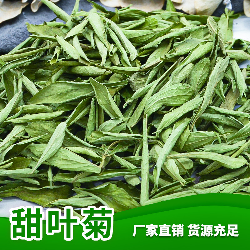广西大叶茶
