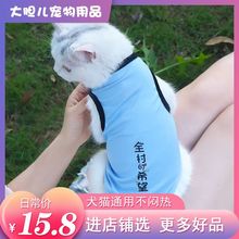 猫咪衣服防掉毛猫衣服夏装薄款夏天背心小猫网红幼猫新款搞笑可爱