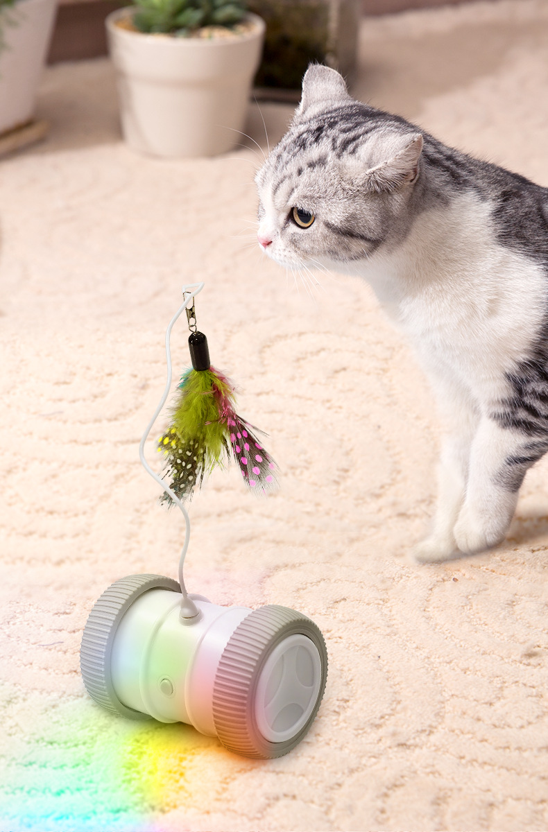 滚轮猫玩具自动逗猫球猫咪玩具充电智能变向球