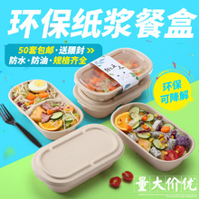 一次性沙拉盒纸浆餐盒轻食外卖环保可降解寿司打包盒健身便当餐盒