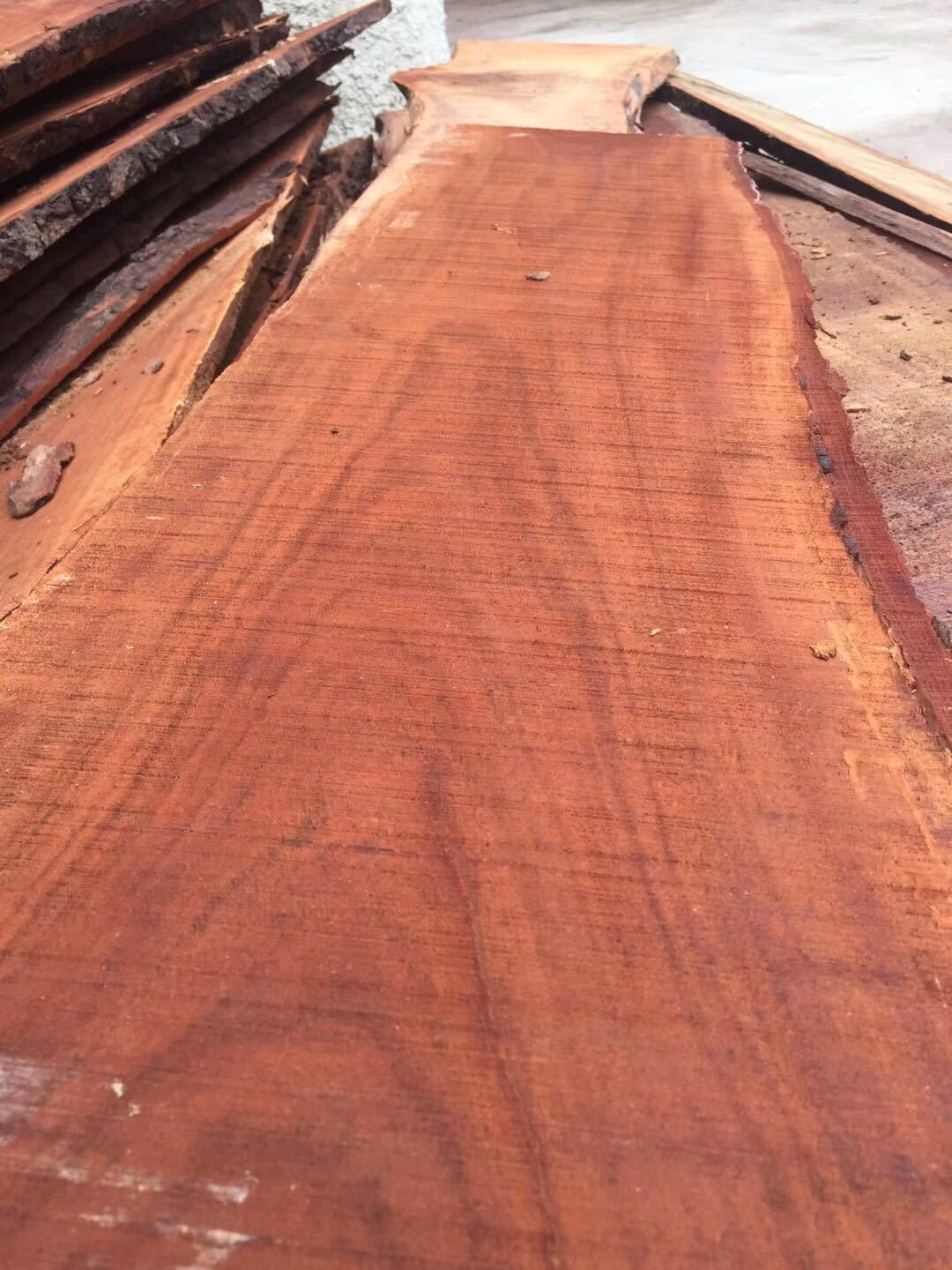 虎斑檀原木 非洲白酸枝 虎斑檀 南美酸枝 红檀香 方