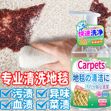 布艺地毯清洁剂免水洗清理地毯免洗去污墙布床垫干洗神器窗帘清洗