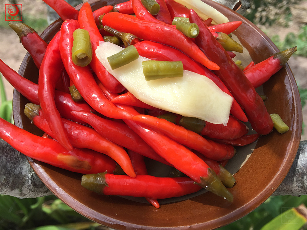 川民爱泡菜红二荆条泡椒农家老坛泡制 厂家批发食品餐饮供货