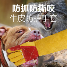 宠物防狗咬神器训犬手套防猫抓剪指甲仓鼠防抓咬加厚长款耐撕咬