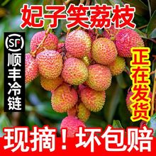 妃子笑荔枝【顺丰冷链】海南广东新鲜当季水果2.8/4.5斤整箱批发