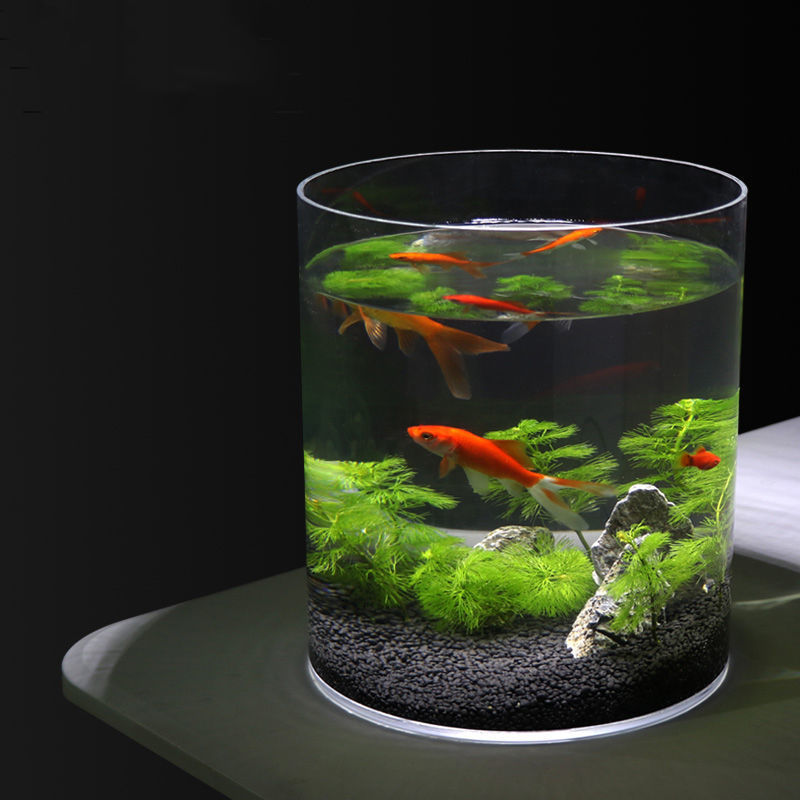 超白加厚大小号玻璃圆柱鱼缸客厅家用落地圆形鱼缸圆柱形水培直筒