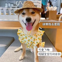 狗衣服夏季裙子宠物狗狗猫咪薄款透气防晒背心可爱柴犬柯基比熊潮