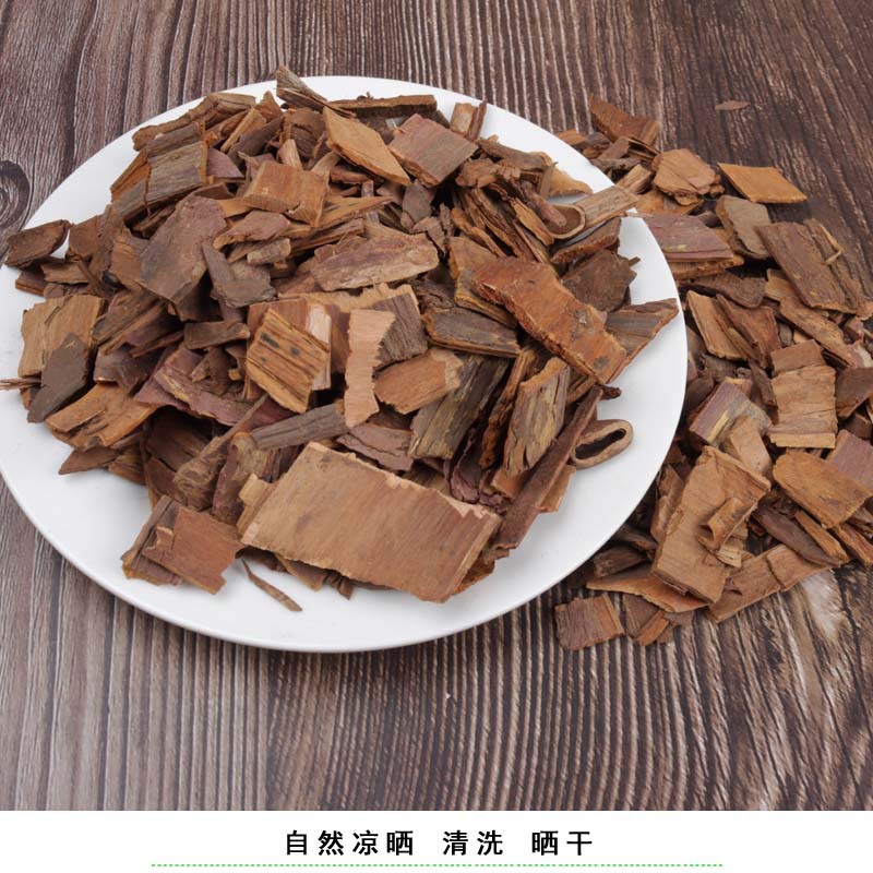 红豆杉细节图7 拷贝