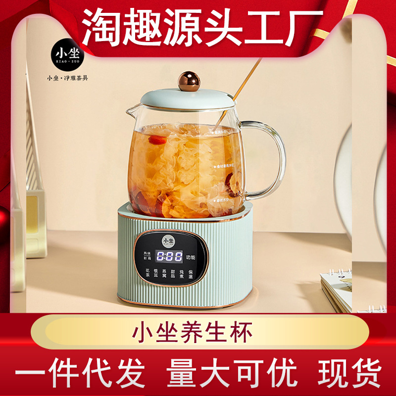 小坐养生杯电炖杯办公室迷你多功能养生壶热牛奶神器便携式烧水杯
