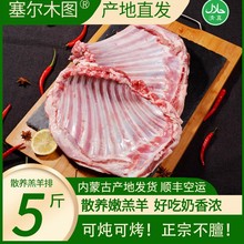内蒙古羊排新鲜5斤羔羊排骨小羊排烤羊排原切羊排手把肉羊肋排