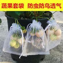 草莓套袋水果套袋果实防鸟防虫网套袋葡萄无花果石榴瓜果草莓