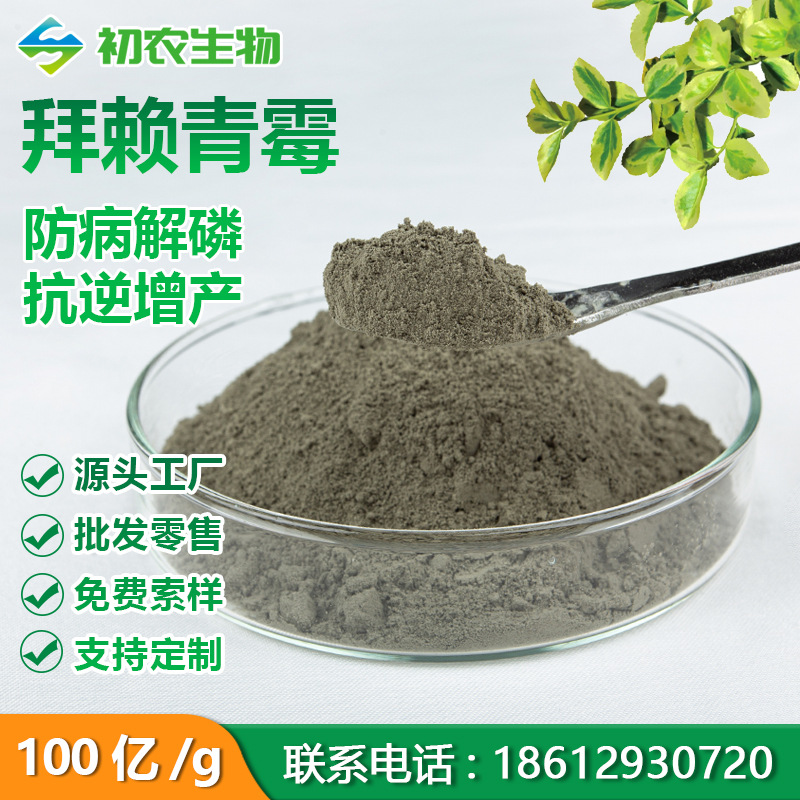 拜赖青霉 解磷抗逆防病促生增 预防土传病害 拜赖青霉菌 生产厂家