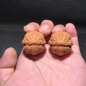 文玩核桃小手捻核桃秋子手持小秋子手捻文玩冷门小众精品圆润饱满