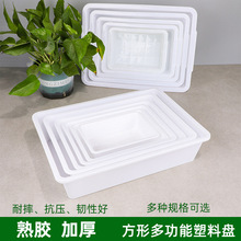 小号收纳盒塑料冰盘长方形小盘子无盖冰盒熟食盘烧烤麻辣烫选菜盘