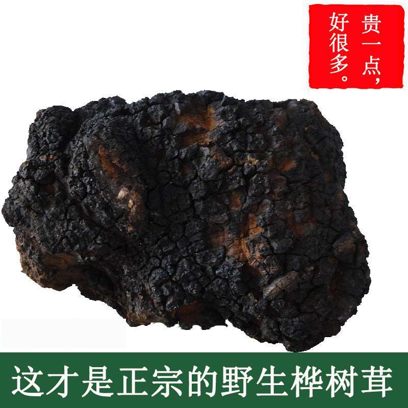 桦树茸胰岛素原块大块500g起纯野生桦褐孔菌白桦茸包邮-阿里巴巴