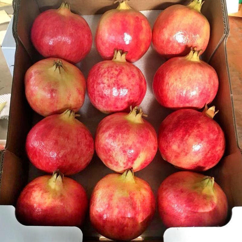 小果云南大理正宗突尼斯软籽甜石榴现摘新鲜孕妇水果新鲜果装