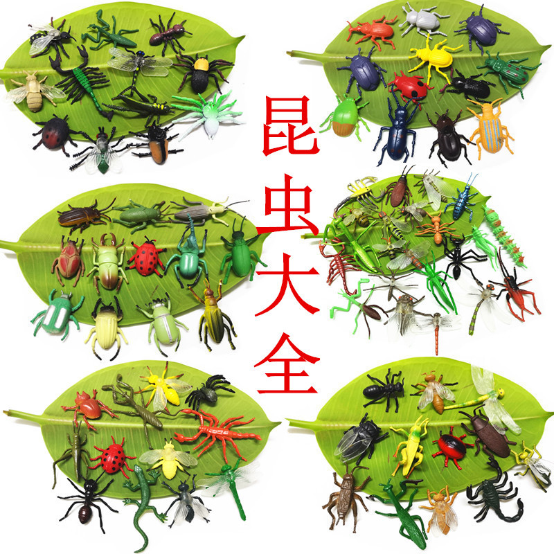 小号昆虫模型蝴蝶蜜蜂蝎子螳螂蜻蜓蜘蛛蜥蜴瓢虫儿童玩具动物