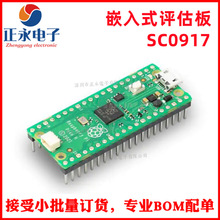 全新原装 SC0917 RASPBERRY PI PICO H 评估板 SC0917 开发板