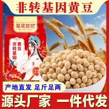 厂家批发黄豆1斤非转基因豆腐豆浆专用大豆新货产地直销杂粮
