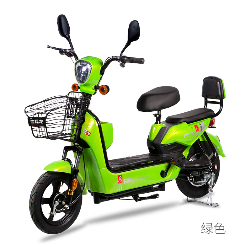 Hongfulong New National Standard Electric Bicycle 48V Lithium Battery Electric Car Double Battery Car Cross-Border Factory Wholesale