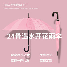 24骨遇水开花长柄手动雨伞双人伞印logo现货批发广告礼品伞直杆伞