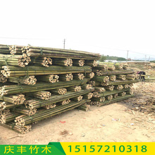 产地厂家批发长度0.5-5米粗度1.5-12厘米搭架竹竿毛竹竹条支撑杆