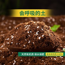 营养土养花专用通用型多肉花土种花种菜家用有机土壤种植花泥进口