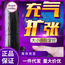 HZY6批发久爱外贸充气扩肛器肛门塞女用自慰器男用后庭塞成人用品