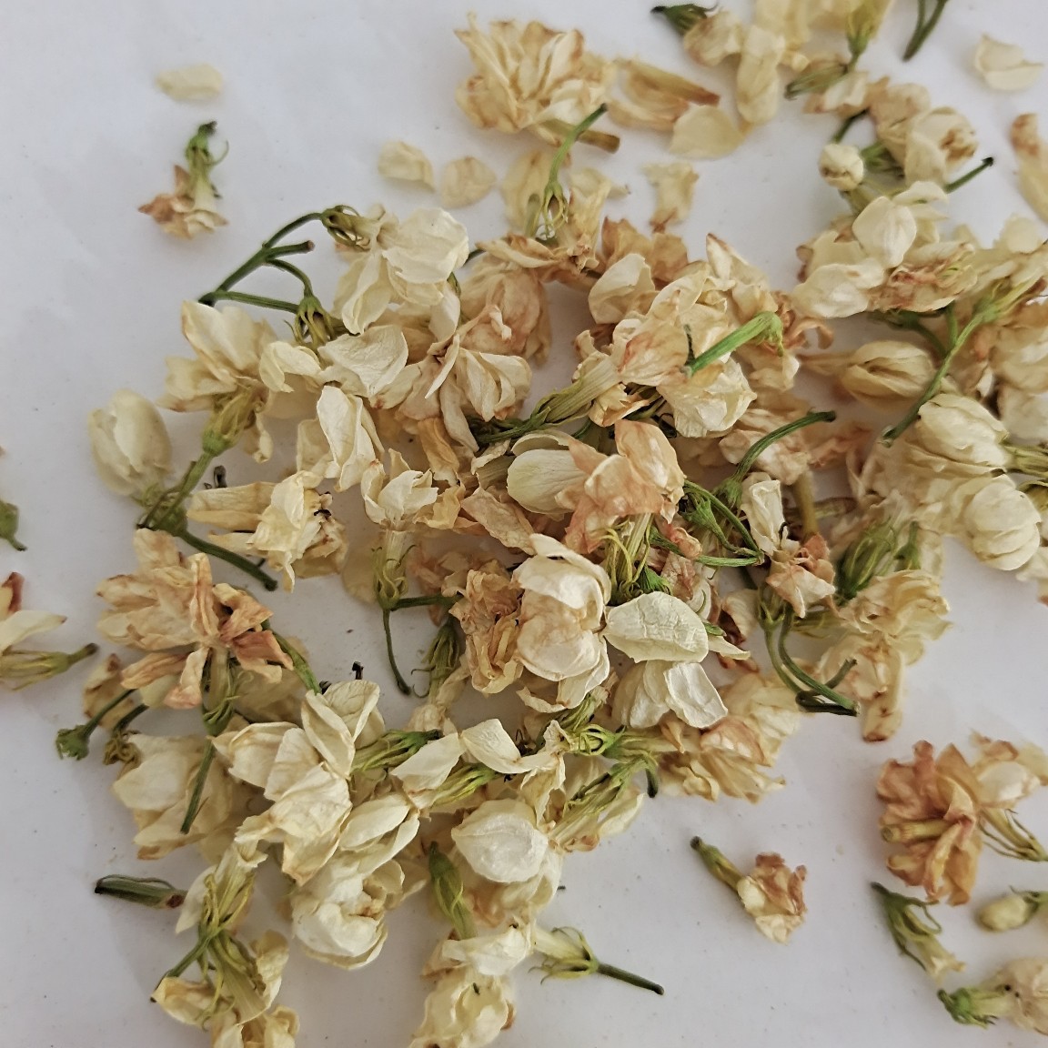 广西横县窨过茶叶的茉莉花干-阿里巴巴
