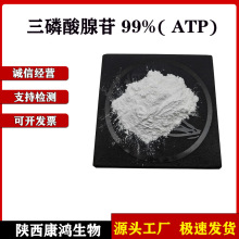 三磷酸腺苷 99% ATP原料粉  腺嘌呤核苷三磷酸厂家直销 现货包邮