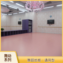 舞蹈地胶舞蹈教室练功房用PVC塑胶地板胶同质透心舞动4mm